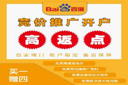 竞价SEM案例分享：快速提高网站流量技巧