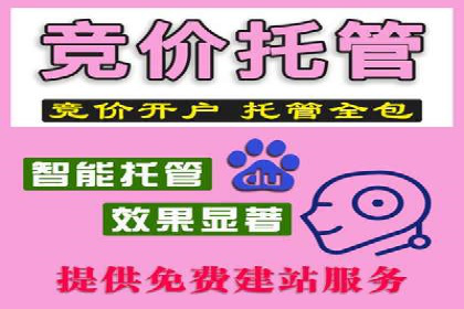 百度竞价托管运营：从亏损到盈利的转变案例